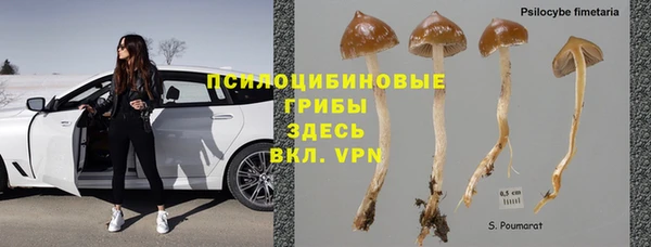молекула духа Ростов