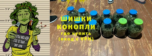 прущие грибы Кулебаки