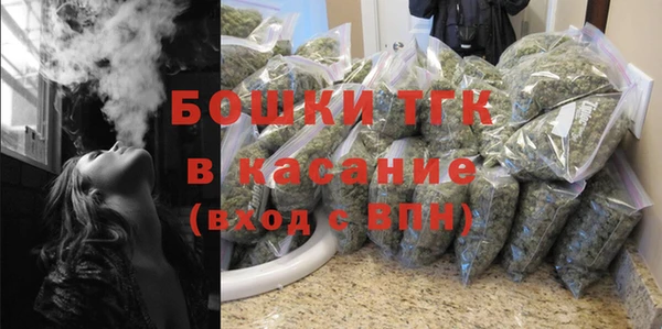 молекула духа Ростов
