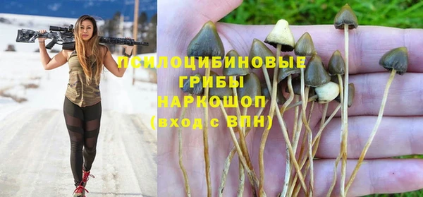 молекула духа Рославль